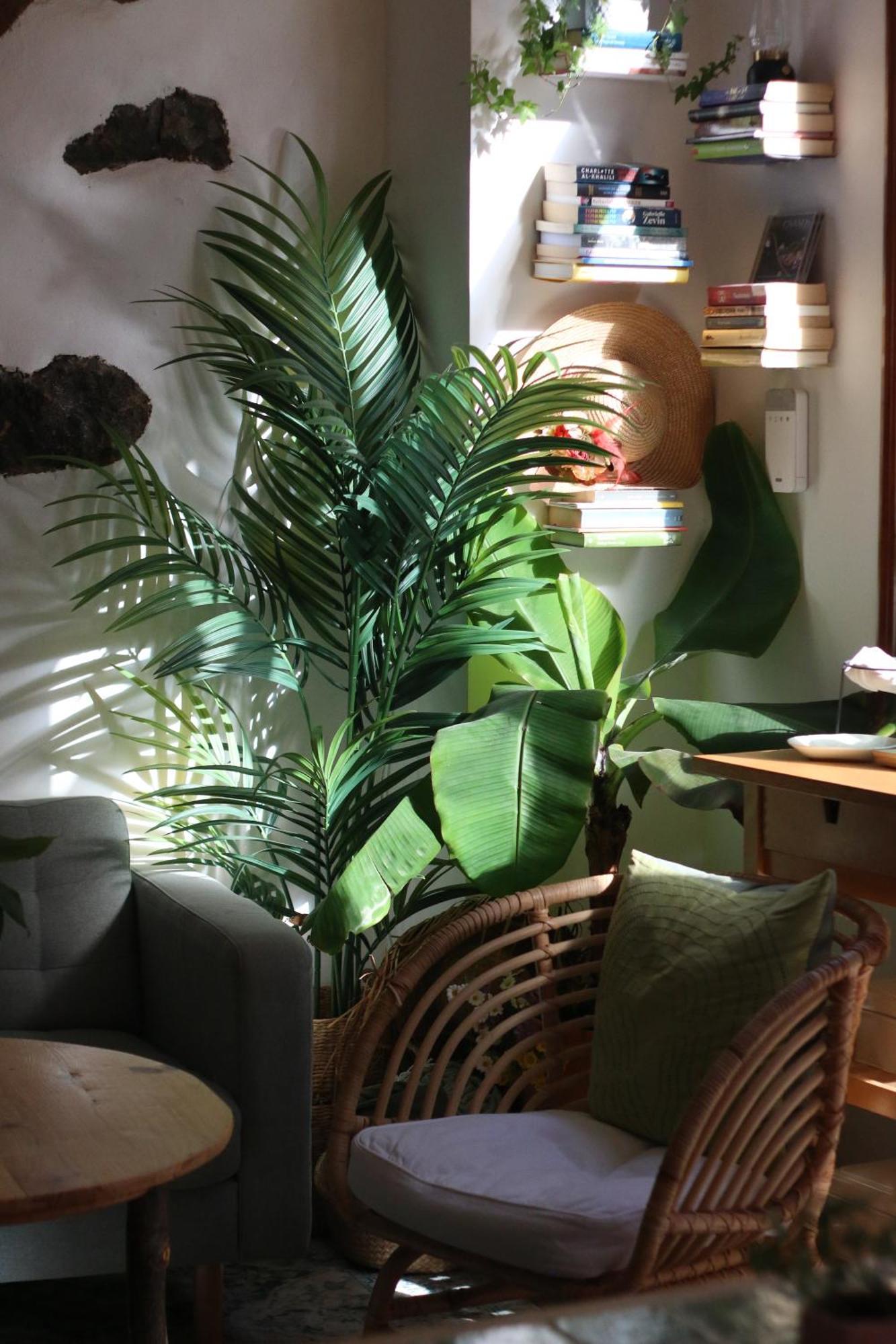 Banana Garden La Palma Hotel Santa Cruz de la Palma  Eksteriør billede